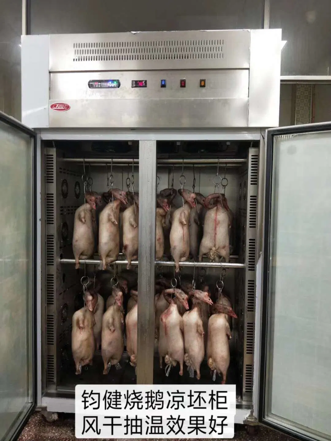 Junjian Customized Heat Resistance Air Dry Roast Goose Freezer for Meat