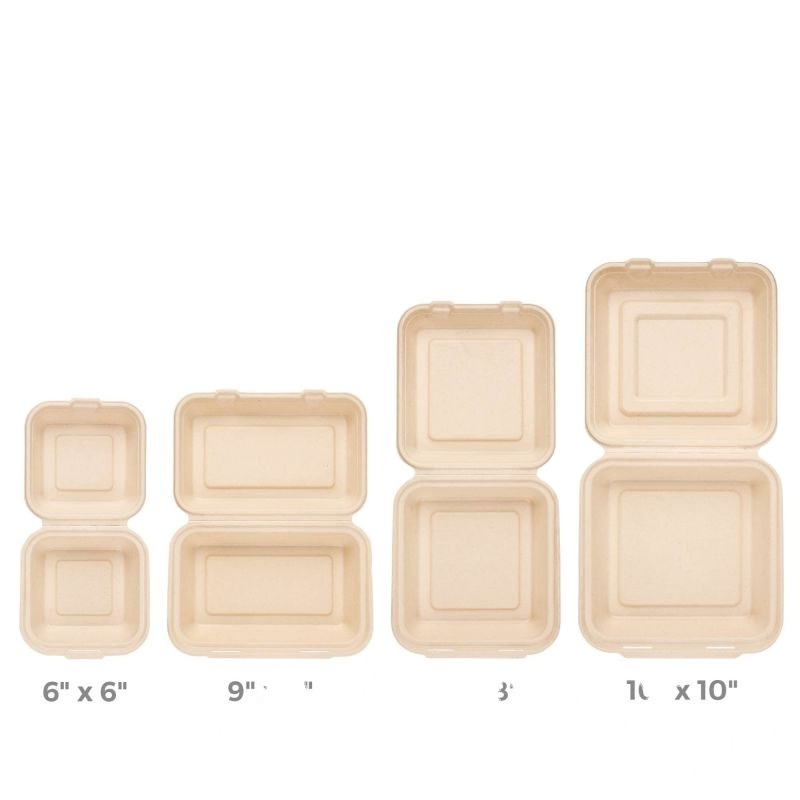 Eco-Friendly Plant Fibers Disposable Bagasse 6*6 3 Compartment Clamshell Container Box