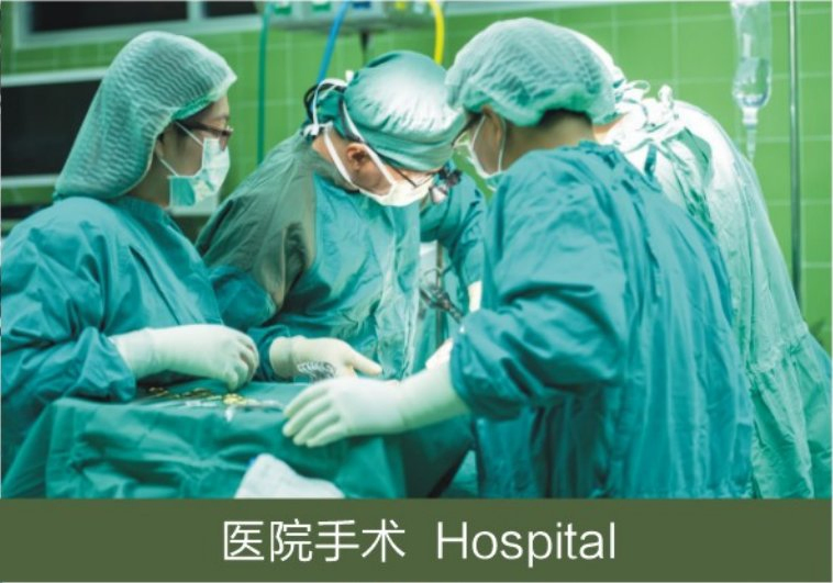 Convenient and Practical Disposable PE Apron Catering Waterproof