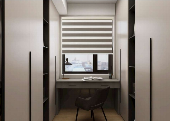 Casual Light Filtering Dual Shades/Day and Night Blind/ Zebra Blind/Dual Blind