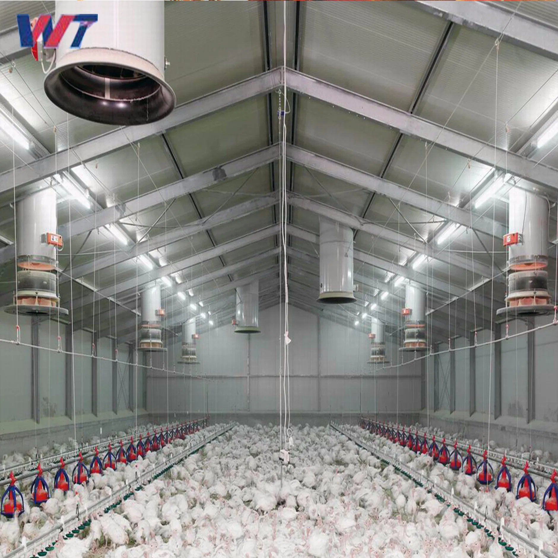 Large Poultry House with Automatic Features for Easy Care