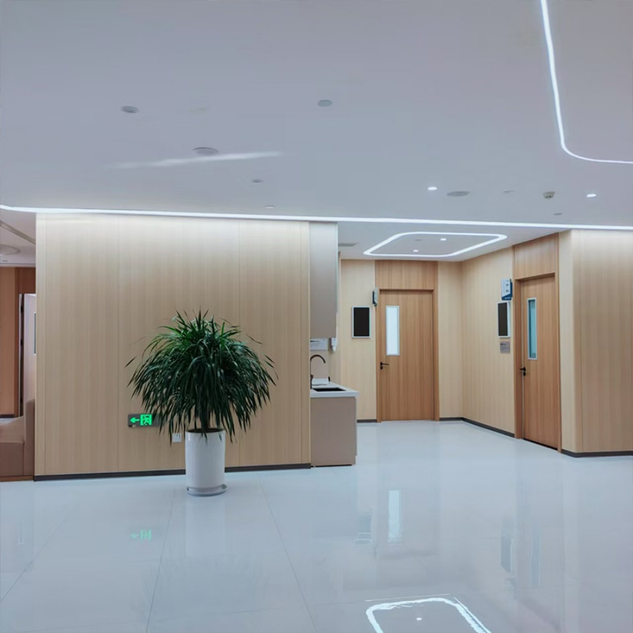 Chemical-Resistant Reliable Impact-Resistant Interior Wall Panel for Laboratories