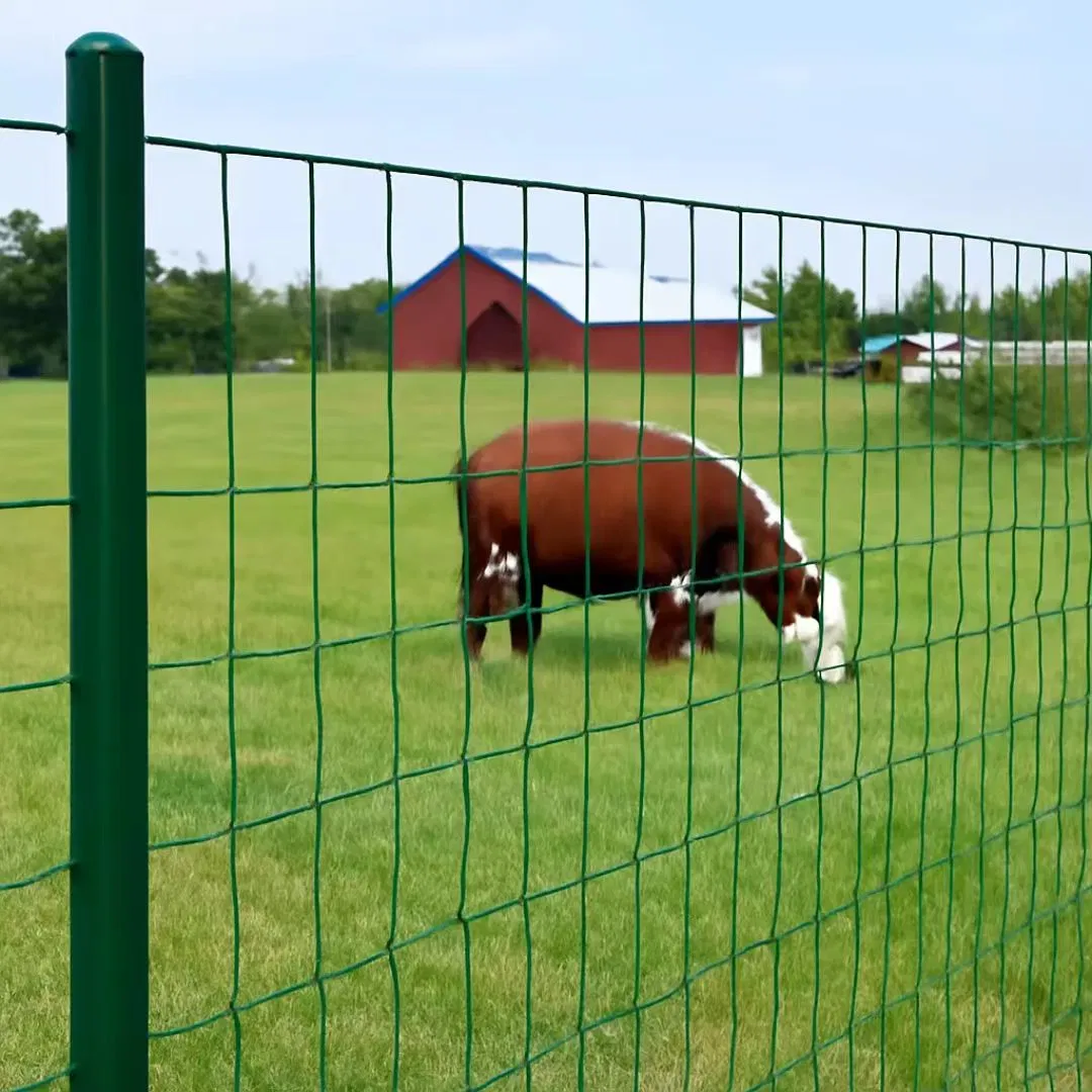 Custom Heavy Gauge 3D Galvanized Steel Welded Curved PVC Coated 3D Wire Mesh Fence Panel