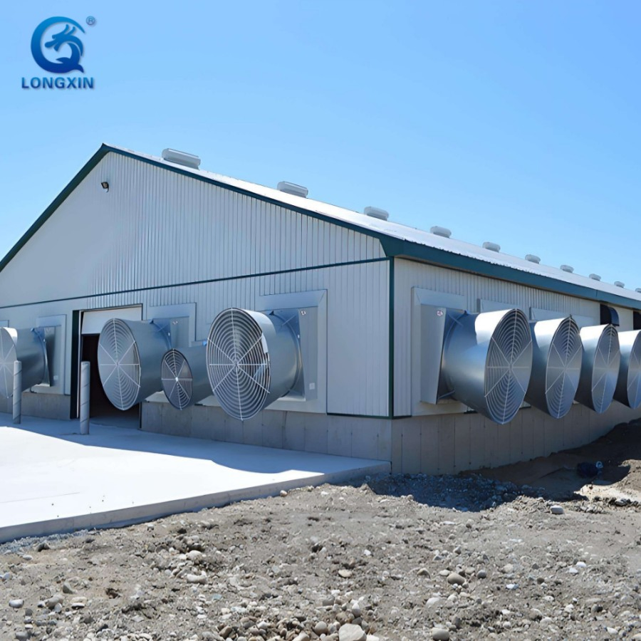Longxinweiye Steel Works Broiler Poultry Farm House Design Egg Chicken House Building for Layers