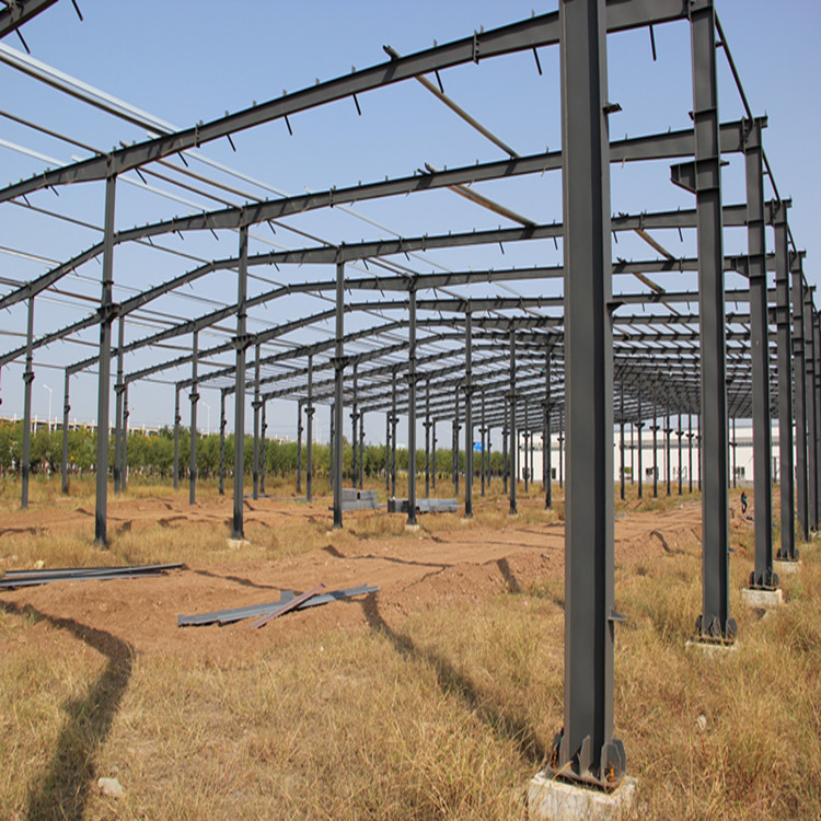 Prefab House Prefabricated Steel Structure Shed Light Weight Metal Building