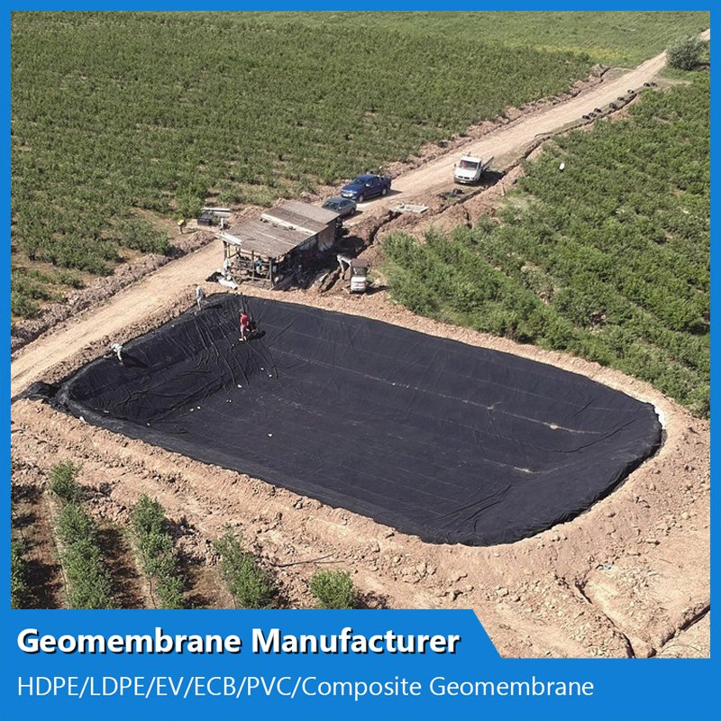 0.2 - 2mm Geomembranes Film for Artificial Lake Pond Liner HDPE Geomembrane