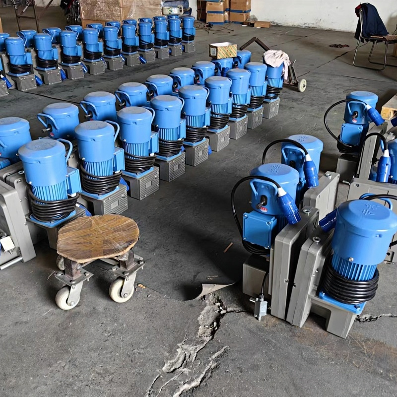 Electric Suspended Platform with Ltd8 Hoist