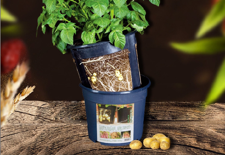 Greenhouse Potato Bucket for Potato Growing Dutch Bucket Planter Pot