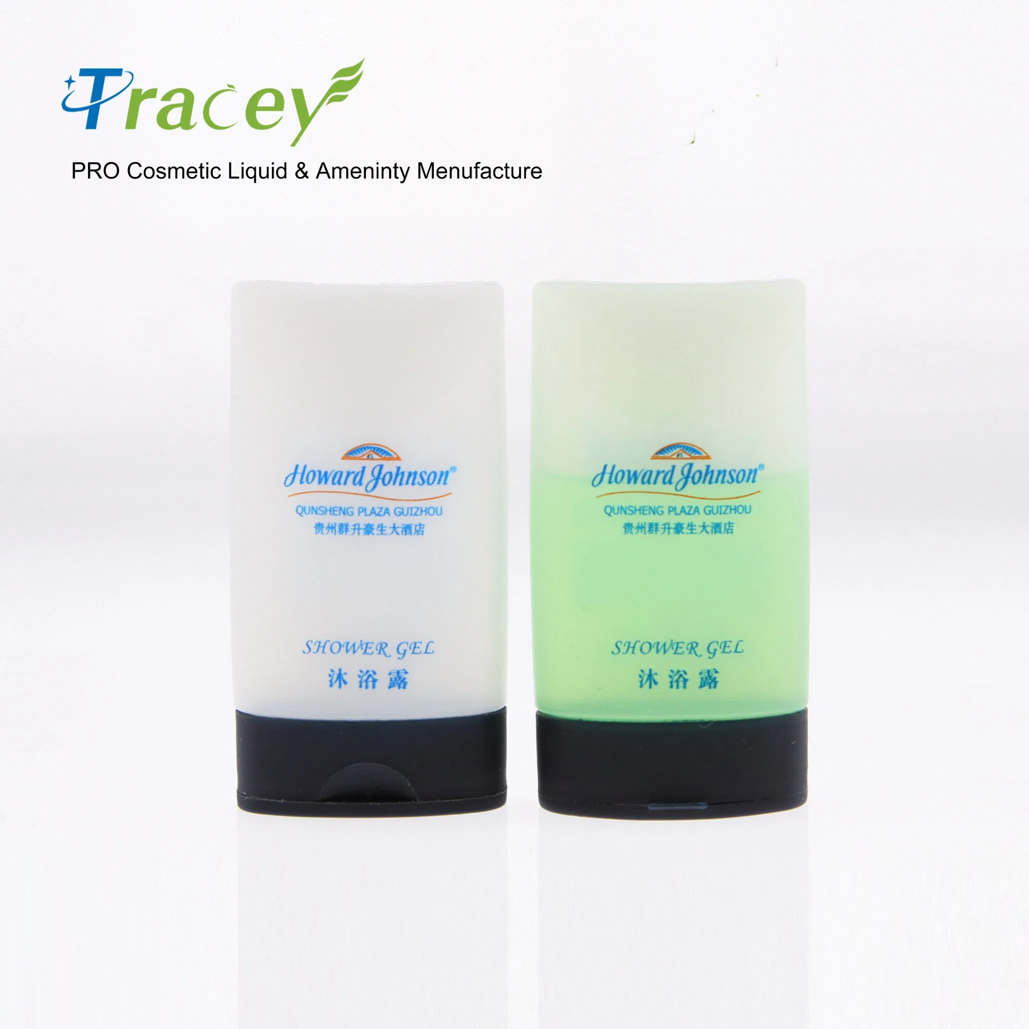 Portable Laundry and Care Kit for Hotel Travelers and Home Use