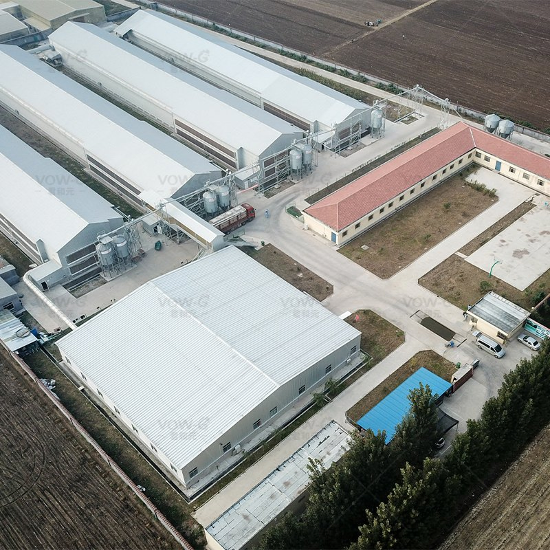 Steel Structural Building Chicken House H Section Steel Beams Breeding Poultry House Structural Steel Workshop
