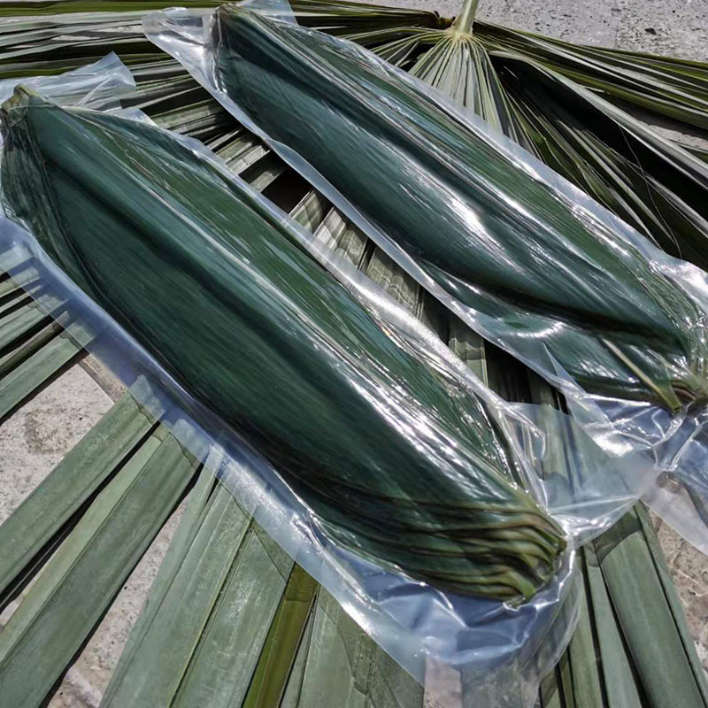 Restaurantware Green Fresh Bamboo Leaves Vaccuum Packed Sushi Leaves for Cooking and Home Use