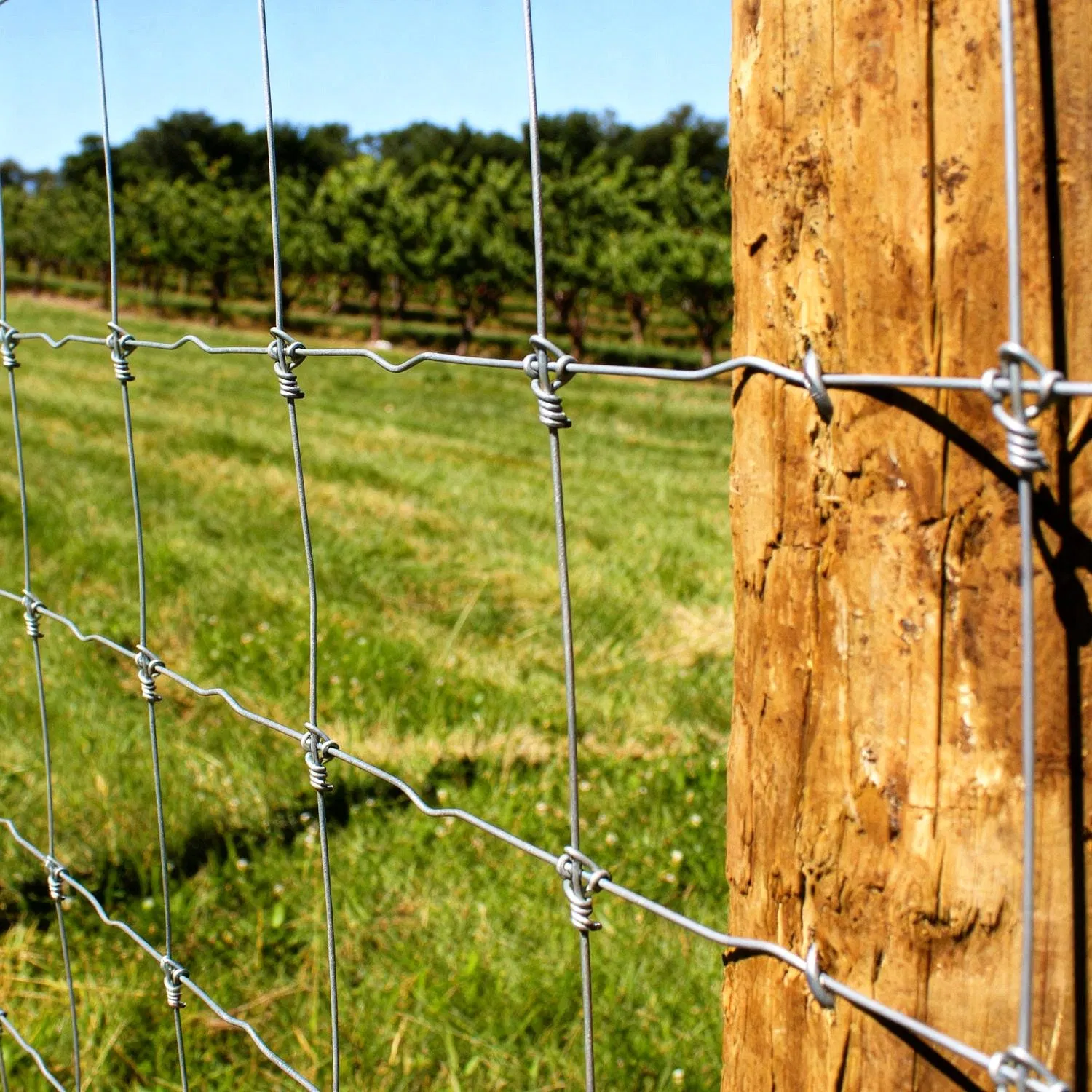 Fixed Knot Livestock Fence for Pasture and Ranch