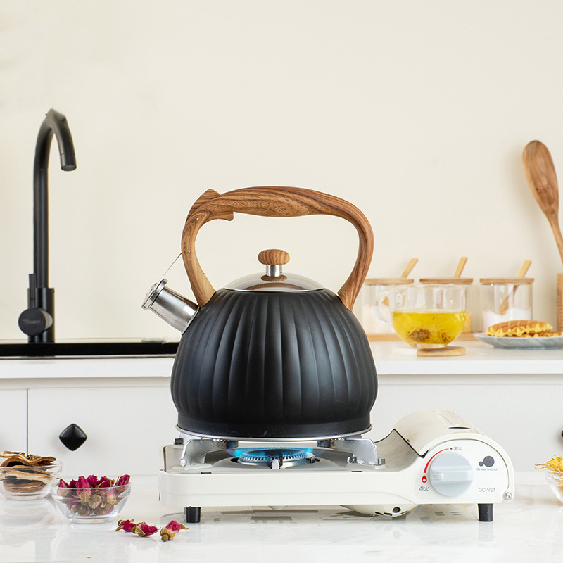 Modern Whistling Kettle Surgical Stainless Steel Teakettle Tea Pots Stove-Top Tea Kettle