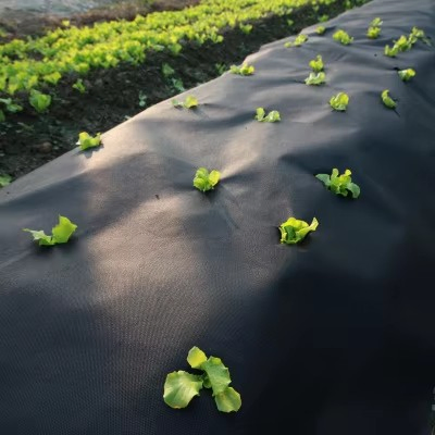 Anti Weed Control Mat PP Woven Weed Barrier Landscape Fabric Weed Cloth Ground Cover Weed Control Fabric Mat