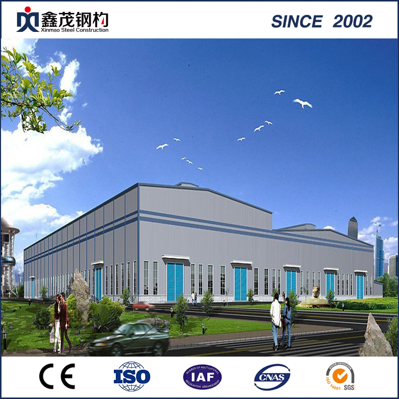 Customizable Large Steel Structure Workshop/Farm/Shop