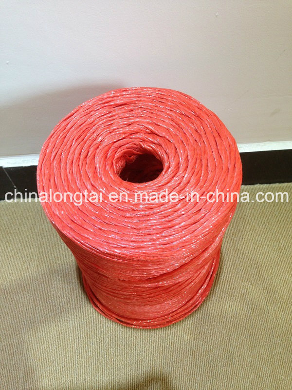 Cheap and High Tenacity Agriculture Plastic Packing Rope (SGS)