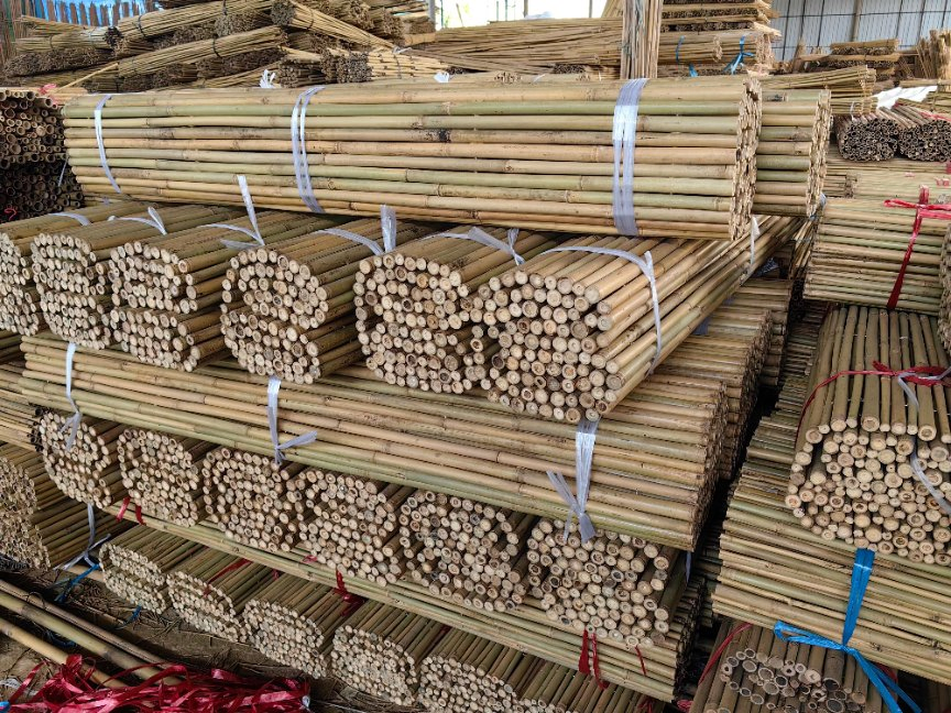 Bamboo Fences for Backyard and Garden