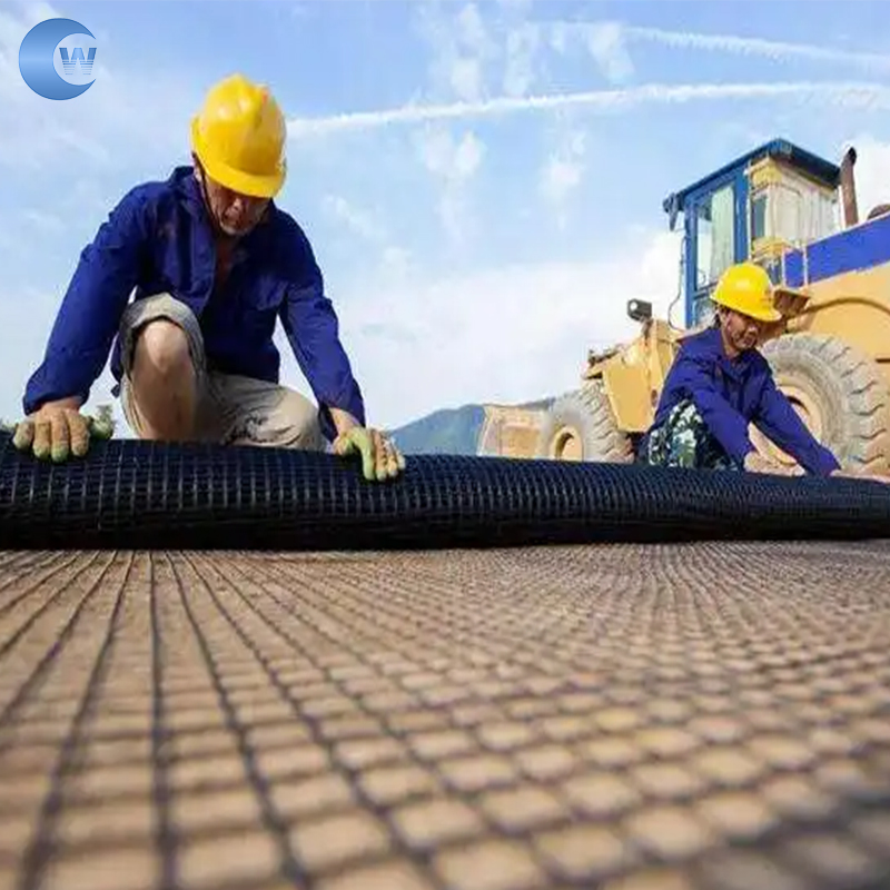 Warp-Knitted Polyester Geogrid Pet Biaxial/ Uniaxial Geogrid