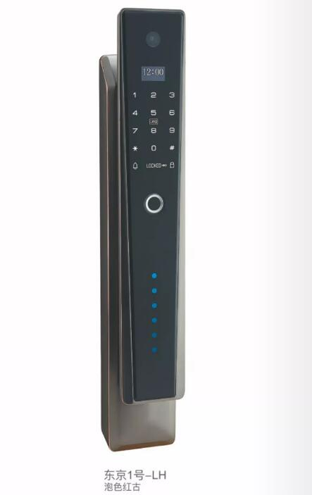Intelligent Door Lock Fingerprint Lock Password Lock (SIN R050)