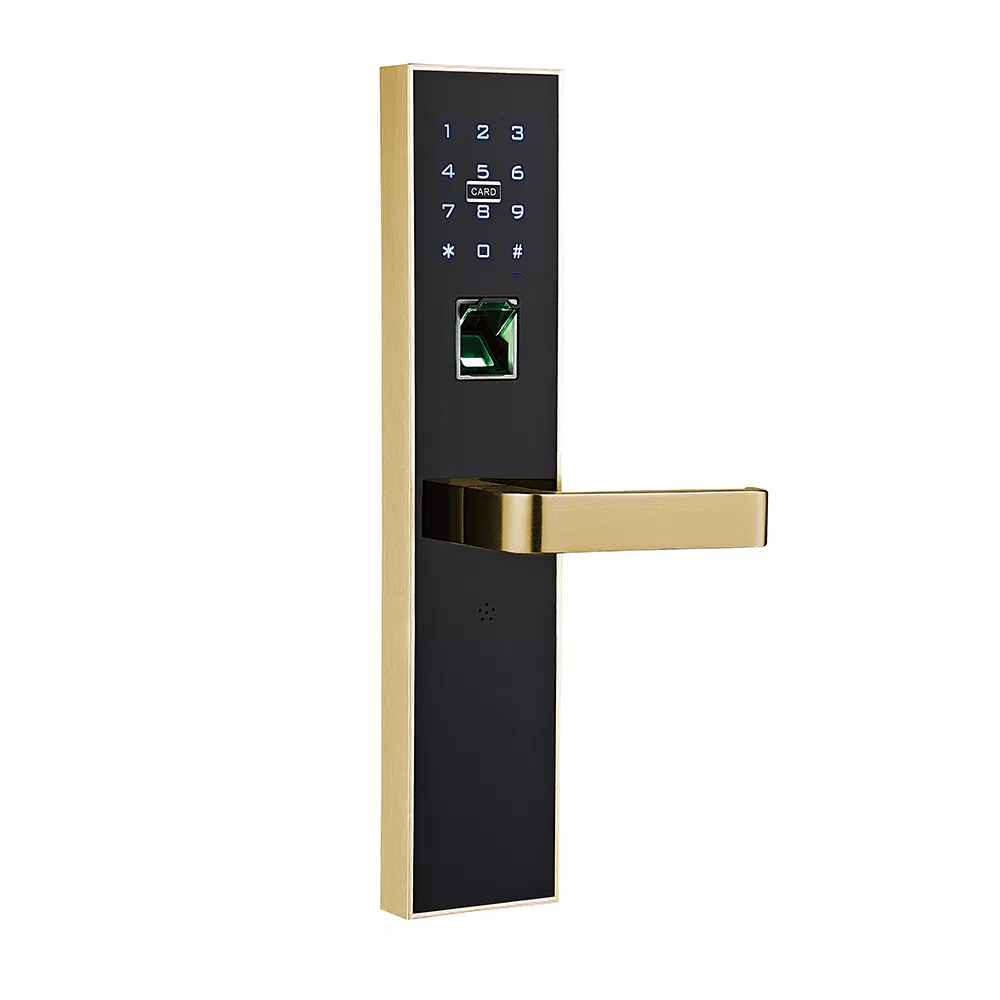 Hanse RFID Hotel Keypad Space Aluminum Electronic Door Lock Smart