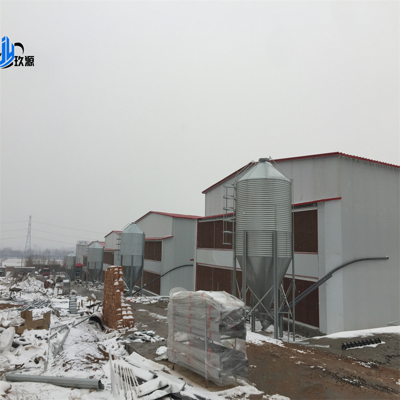 Steel Structure Poultry Farm, Modular Laying Hen House, Hen House Facilities