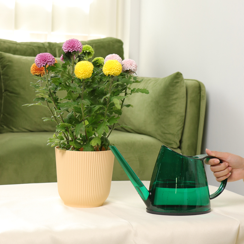 Garden Accessories Wholesale Plastic Transparent Long Spout Watering Can 1.2L Kettle for Plants
