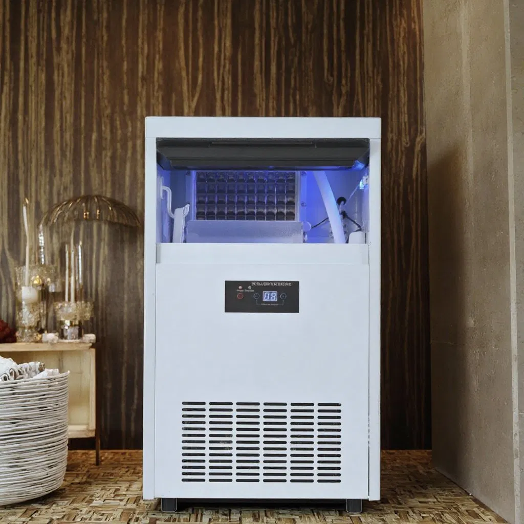 Source Factory Ice Cube Making Machine with Two Ways of Receiving Water