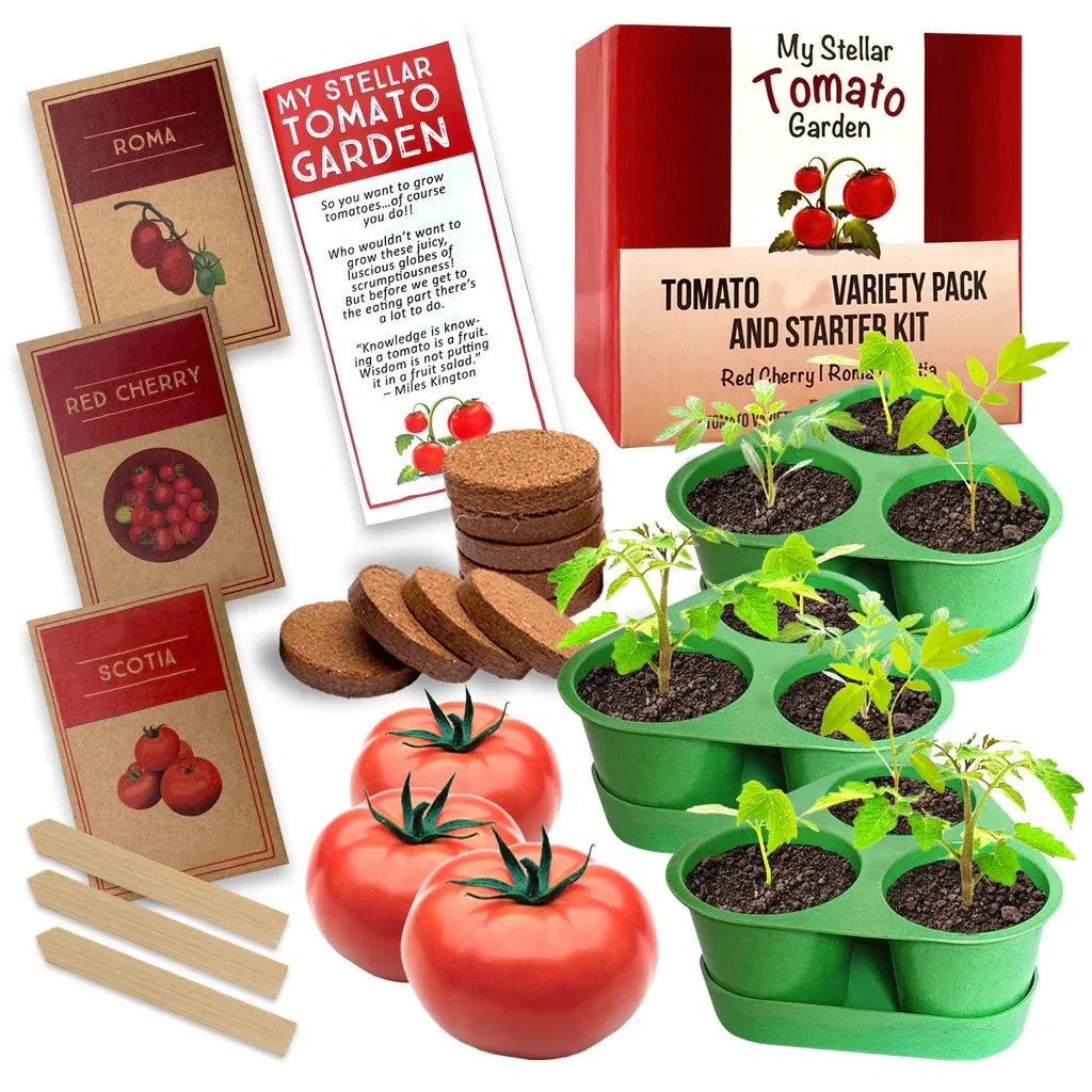 Rustic Farmhouse Vegetable Garden Starter Kit for Home Growing