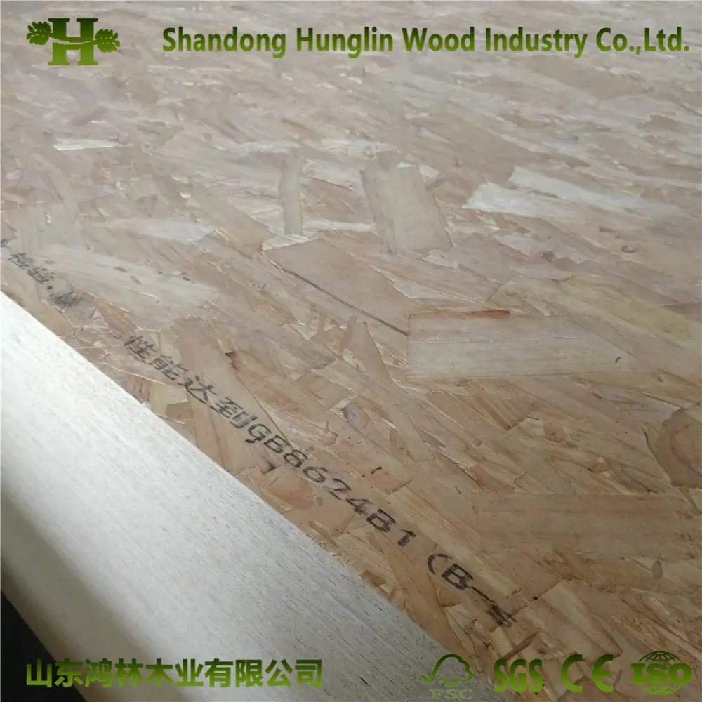 1220*2440mm/4*8 FT Construction OSB/Oriented Strand Board Phenolic OSB3 Board