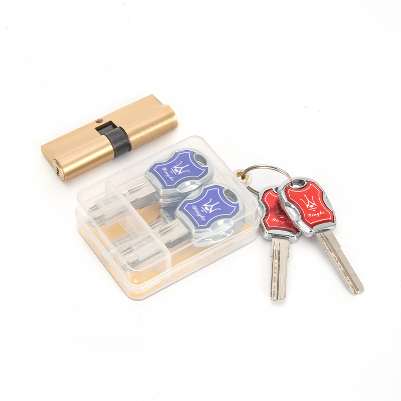 Factory Price OEM Anti-Theft Security Lock Cylinder Door Hardware Copper Mortise Door Lock