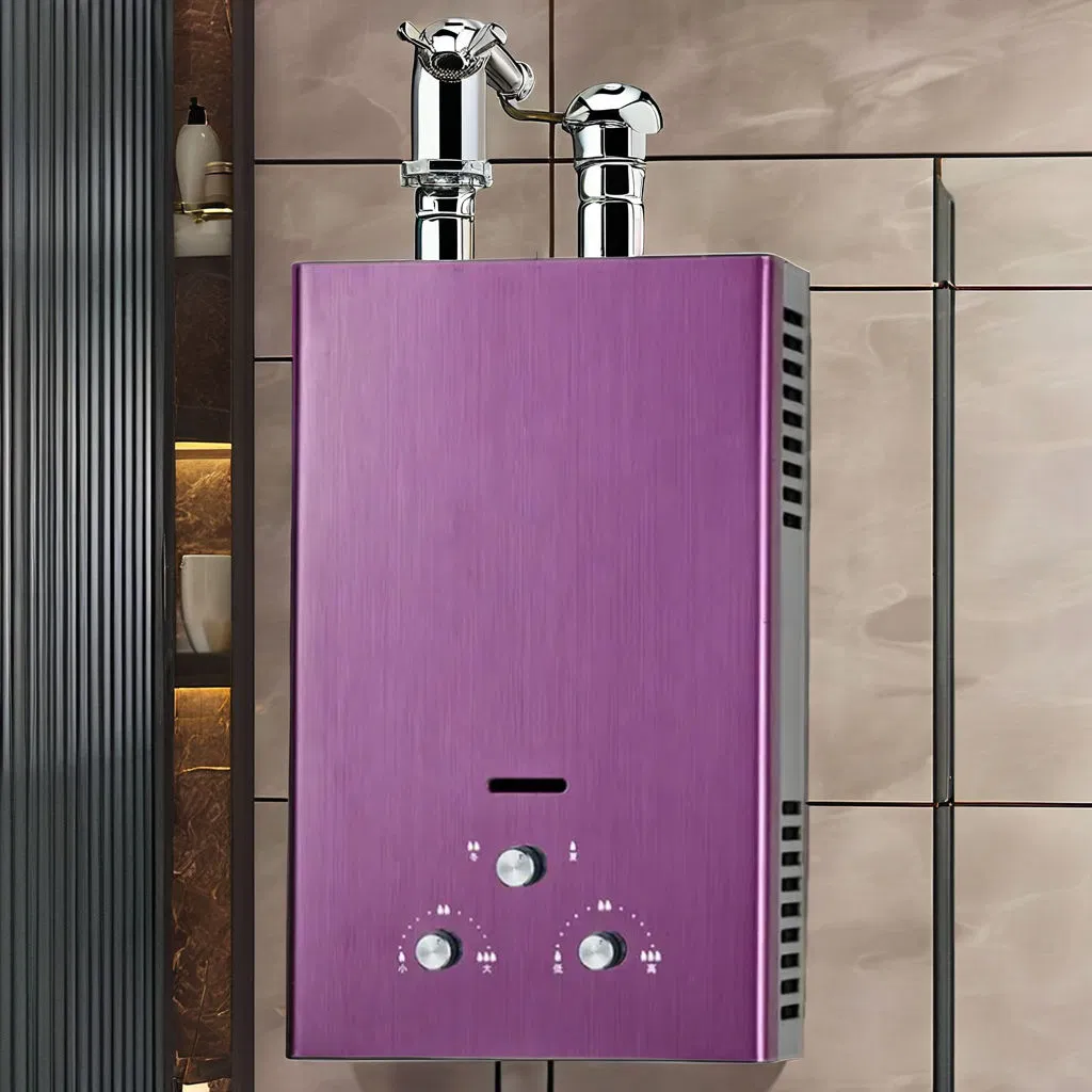 High Quality Manual Control Smart Constant Temperature Condensing Fuel Natural Gas Water Heater