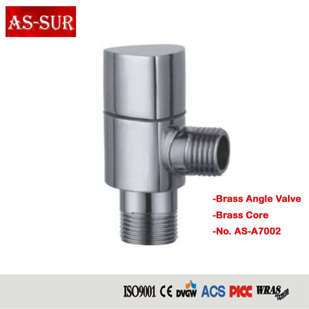 Polished Chrome Plated Brass Angle Valve with Filter A7004