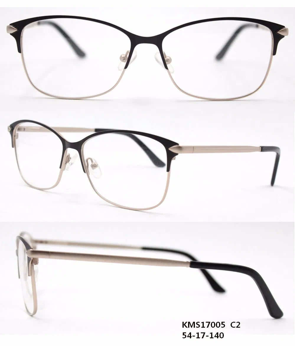 Hot Selling High Quality stainless Steel Frame Rubber Tip Classical Frame (KAS17005)