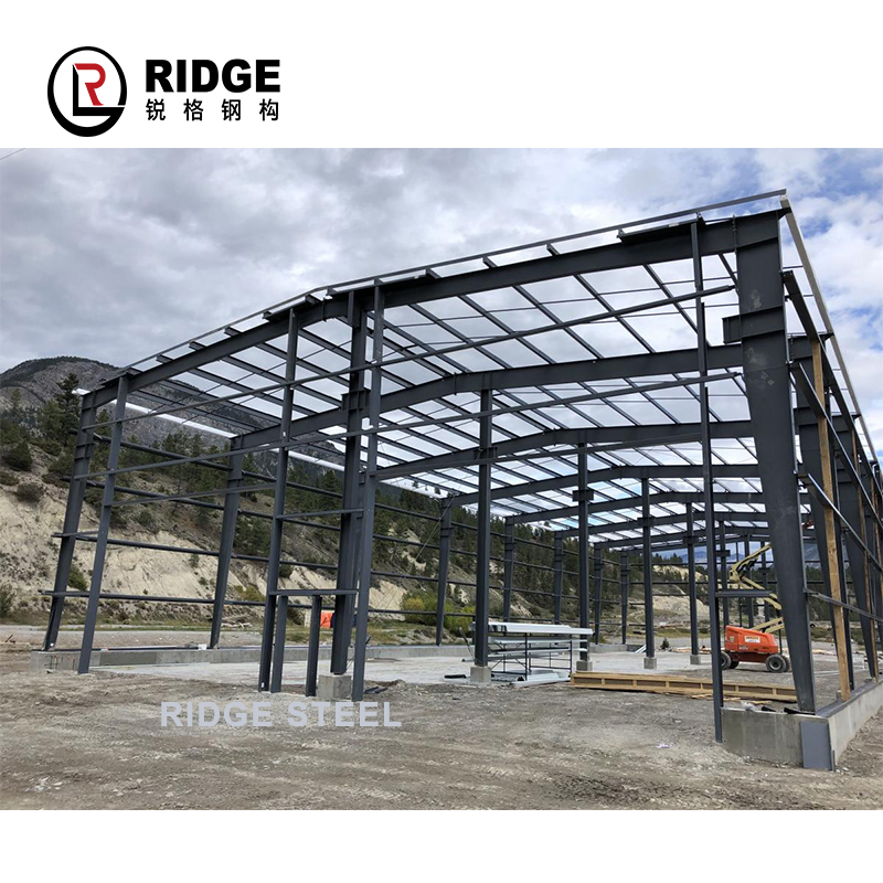 China Prefabricated Construction Steel Frame Shed Metal Structure Building for Sale