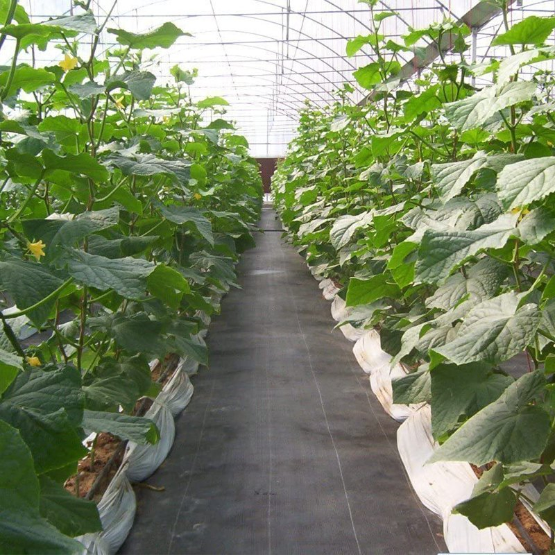 Plastic Woven Weed Control Mat / PP Ground Cover