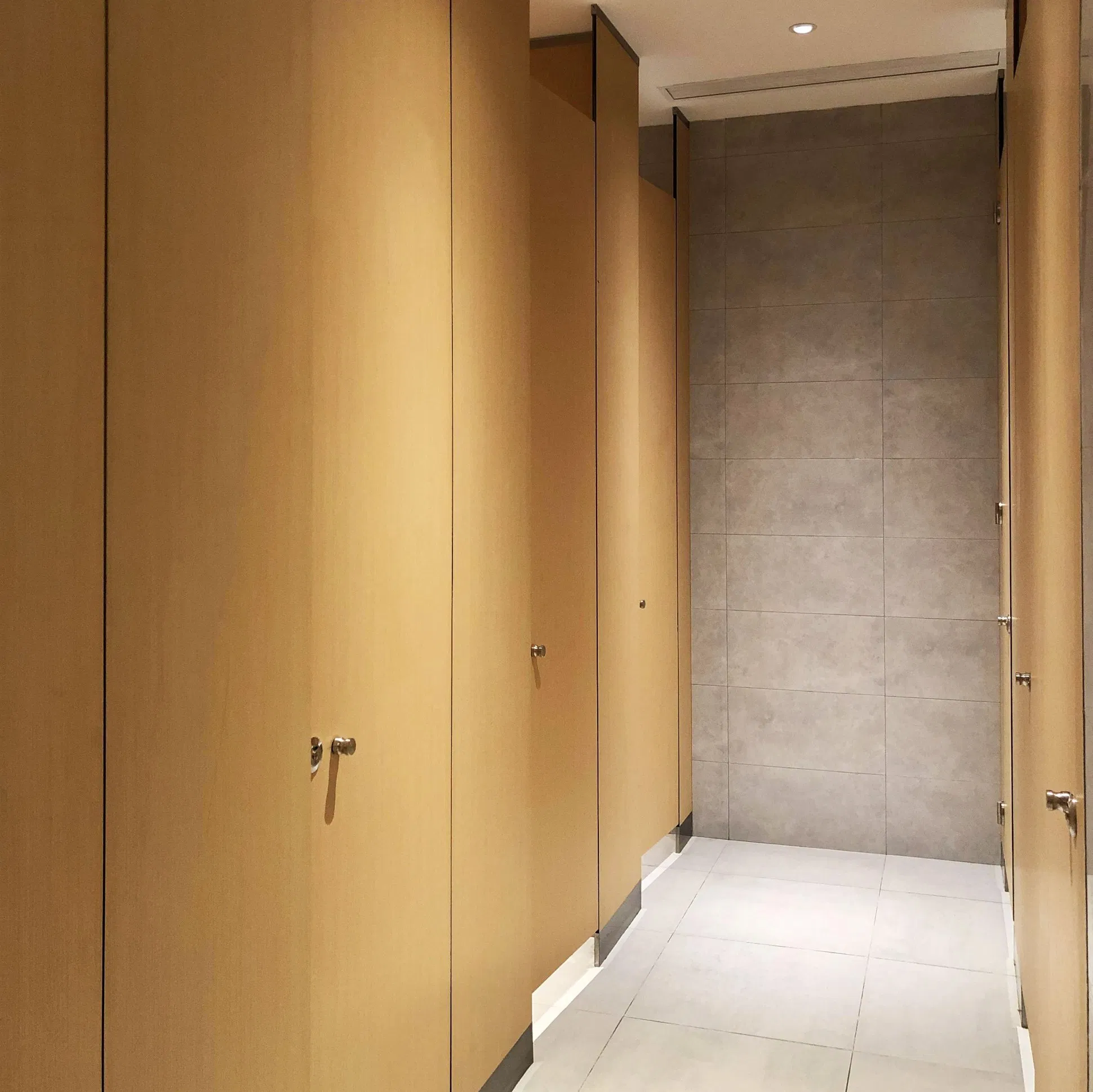 Good Price Debo 18mm Thickness Waterproof HPL Compact Laminate Children Toilet Partition for High School