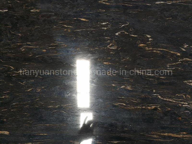 Chinese Black Silver Paradiso Granite for Countertop Bathroom Wall Tile