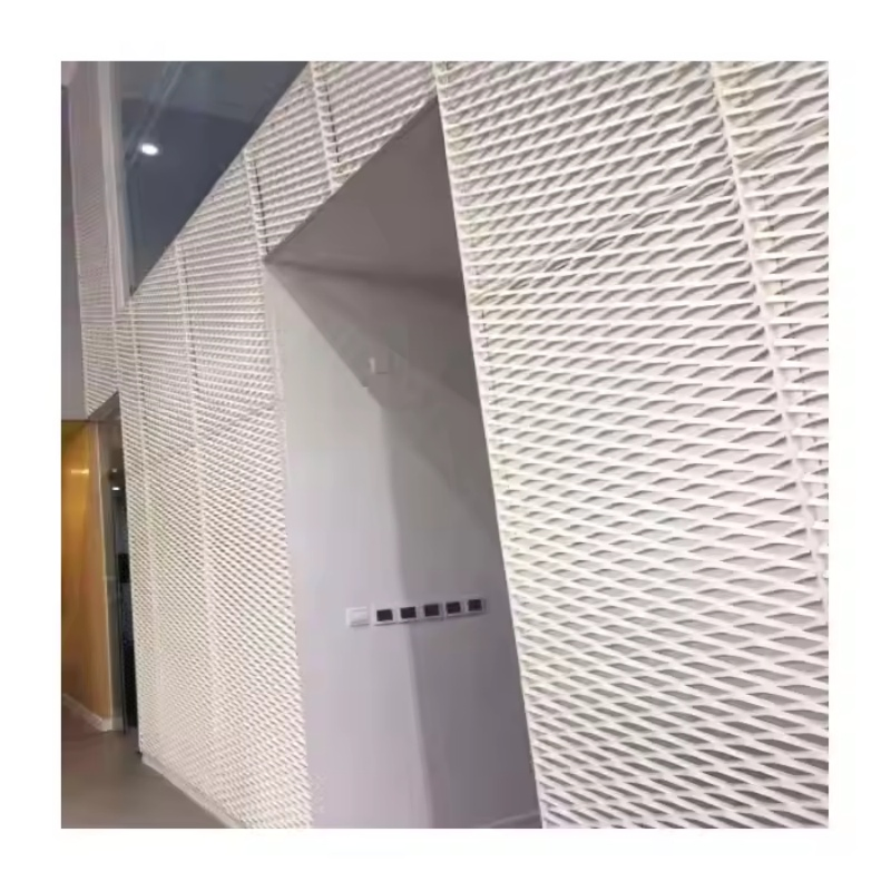 Shape Drawing Customization Mesh Aluminium Panel Facade Curtain Wall