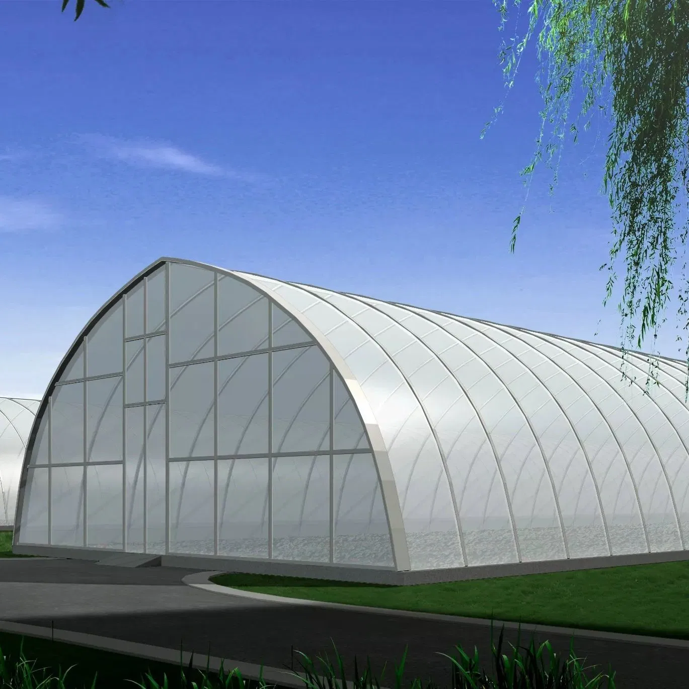 Side Ventilation, Top Steel Structure Bridge Multi Span Plastic Greenhouse