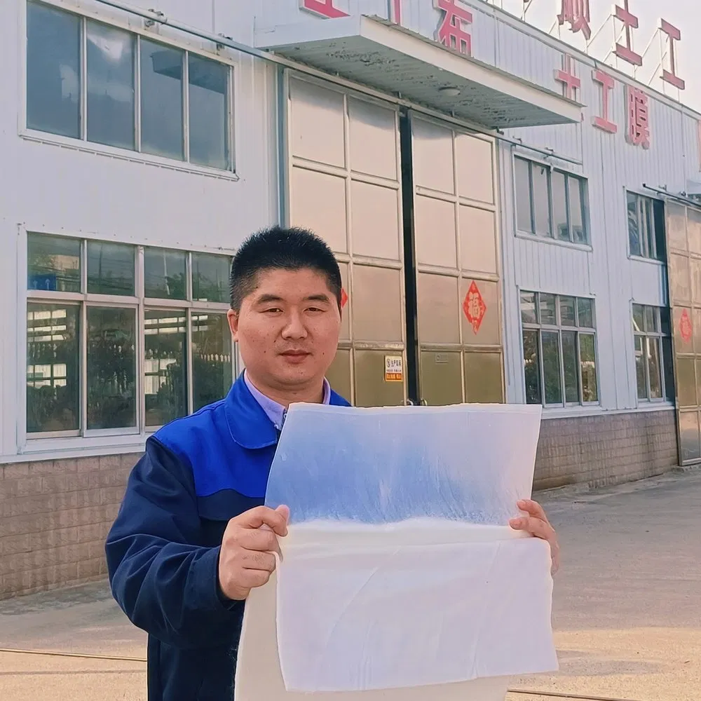 Durability Anti-Static OEM ODM Custom 0.25-0.35mm Thicknesslong Service Life Composite Geotextile Geomembrane