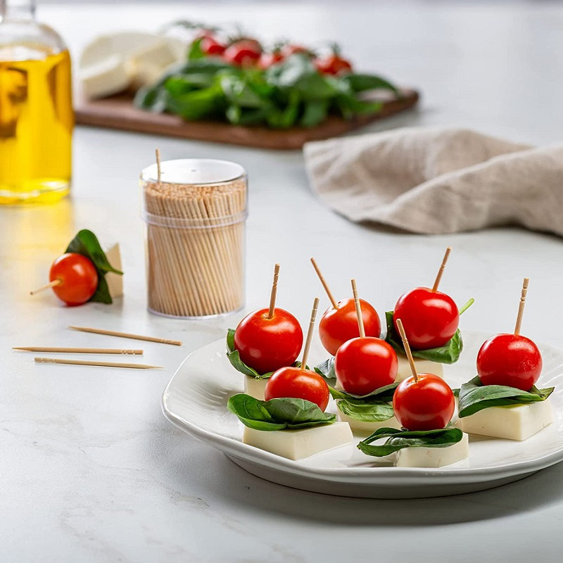 Individually Toothpicks Plastic Dental Floss Toothpicks