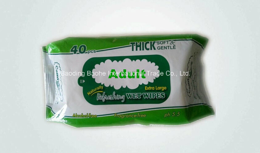 Wholesale Disposable Unscented Baby Wet Cleaning Wipes