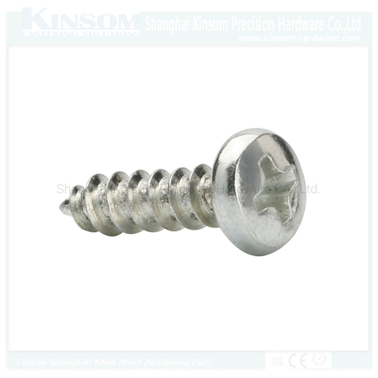 Pan Head Cross Recessed Self Tapping Screws/Metal Steel Screw/Custom Screws/Stainless Steel Screw