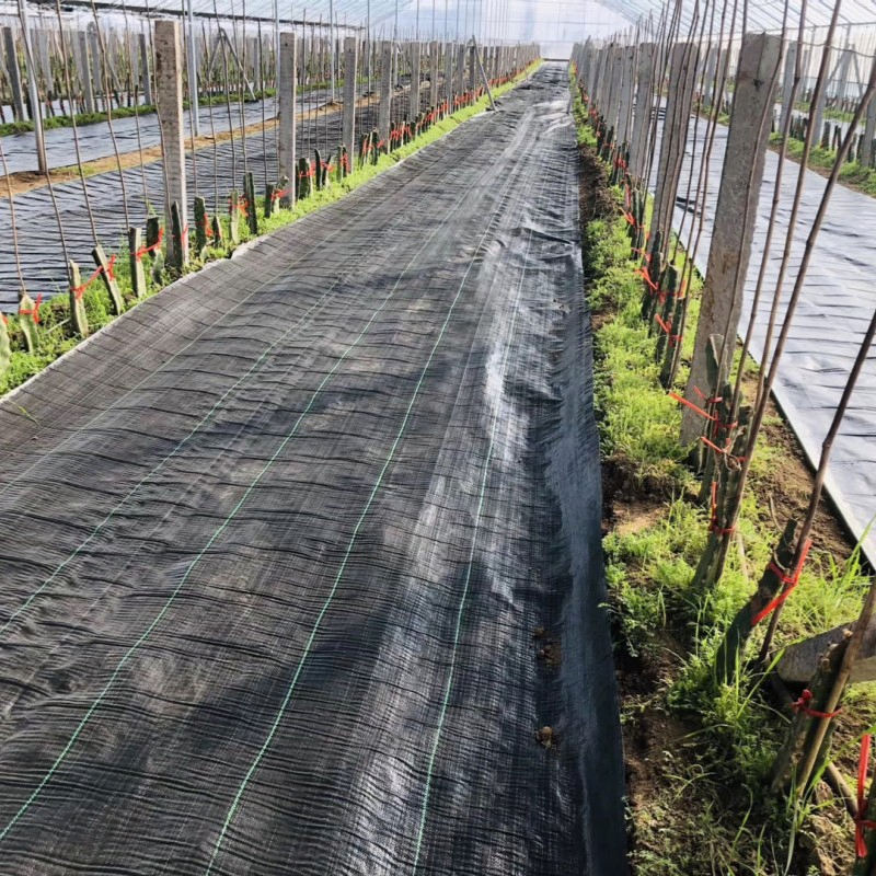 Customized Size Weed Barrier Landscape Fabric Polypropylene Woven Ground Cover