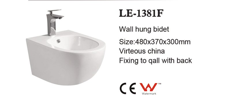 Chaozhou Sanitary Ware Small-Sized Bathroom Ceramic Wall Hung Bidet with CE Certification and Watermark Wc Bidet Bottle