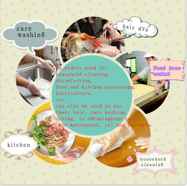 Daily-Duty PE Gloves: Reliable & Disposable