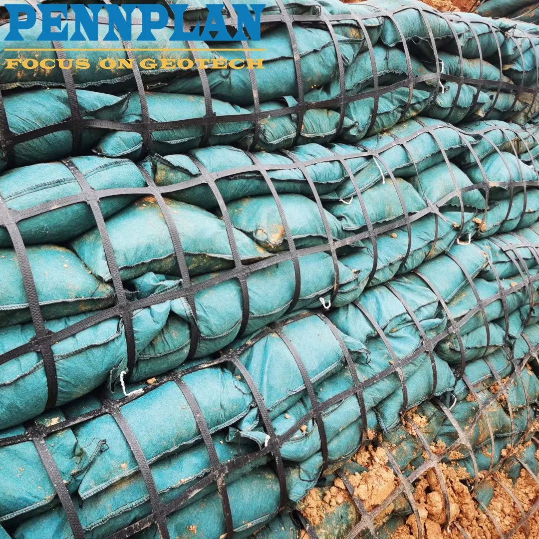 Greening Ecological Engineering Non-Woven Polypropylene Geobag for Slope Protection and Grass Dam