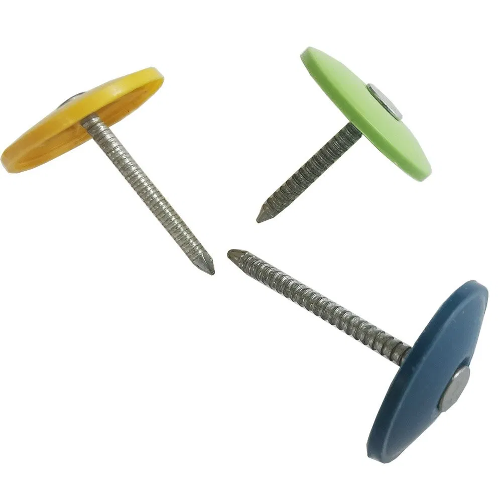 Roofing Screw Nails Plain Plastic Cap Ring Shank Galvanized Roofing Nail with Washer Plastic Caps Umbrella Head Roofing Nail