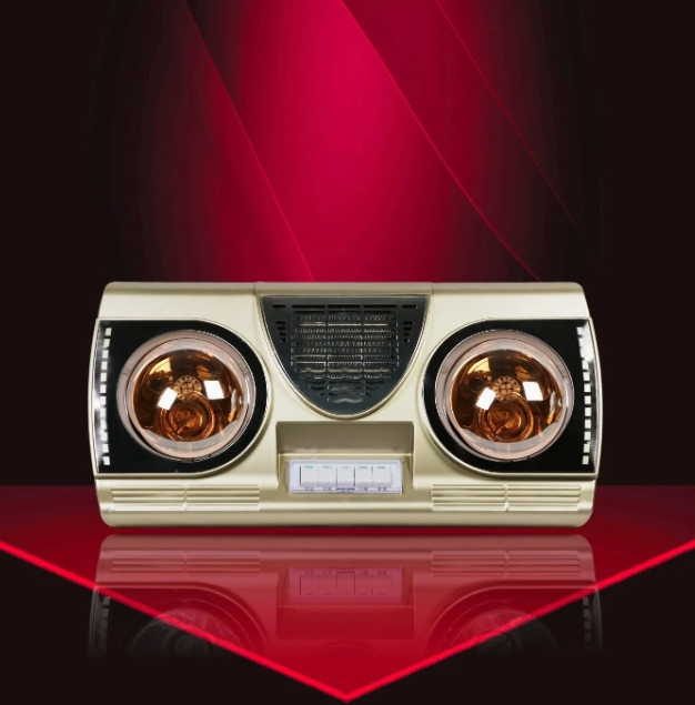 Infrared Heater Fan Newly 220V Indoor Portable PTC Heater