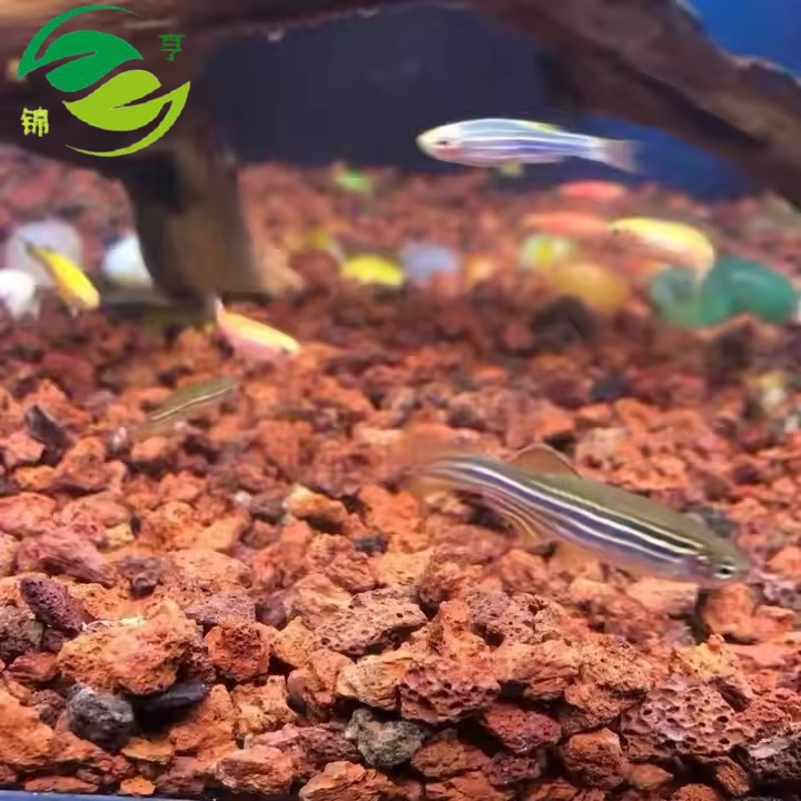 Factory Price Cheap Selling Red Volcanic Stone/Volcanic Rock